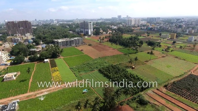 Whitefield, Bengaluru